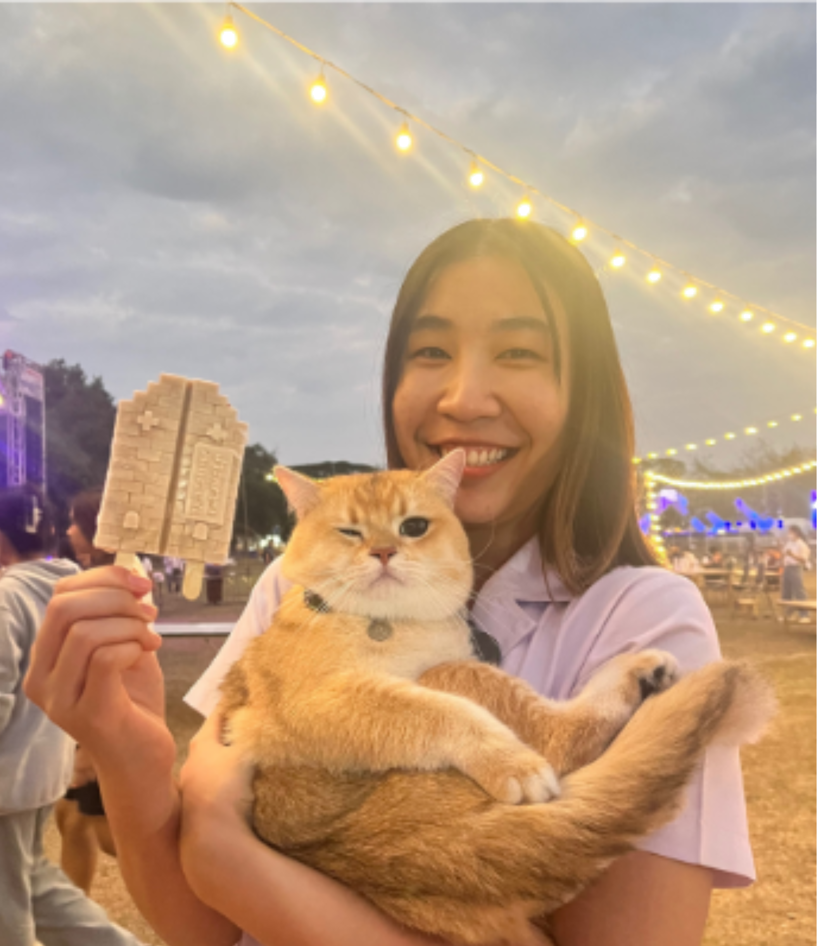 Ice Cream Showcase 6